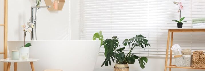 Helles Badezimmer mit Pflanzen